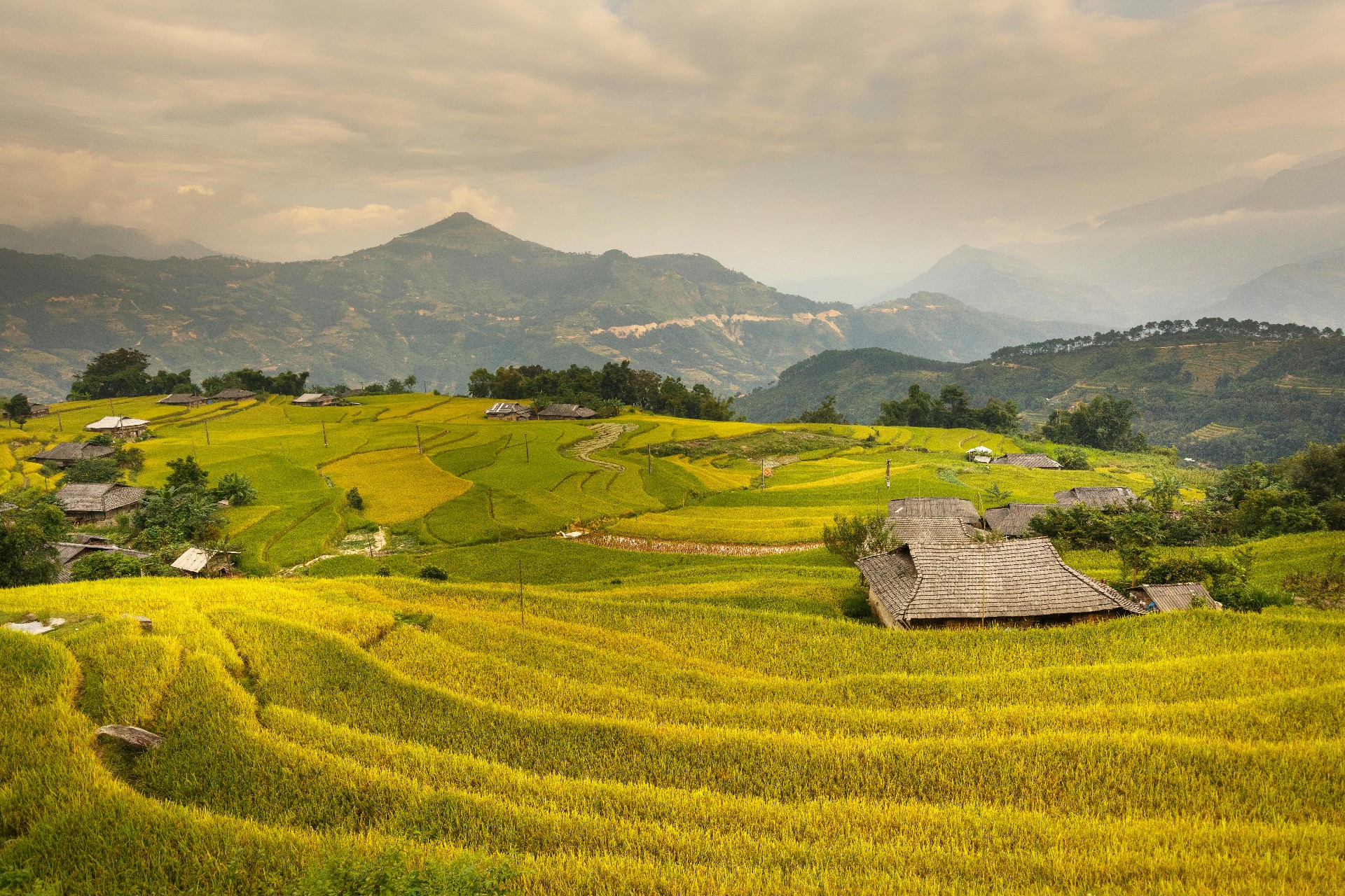 1758533690120984.jpg pexels-quang-nguyen-vinh-222549-2154216.jpg