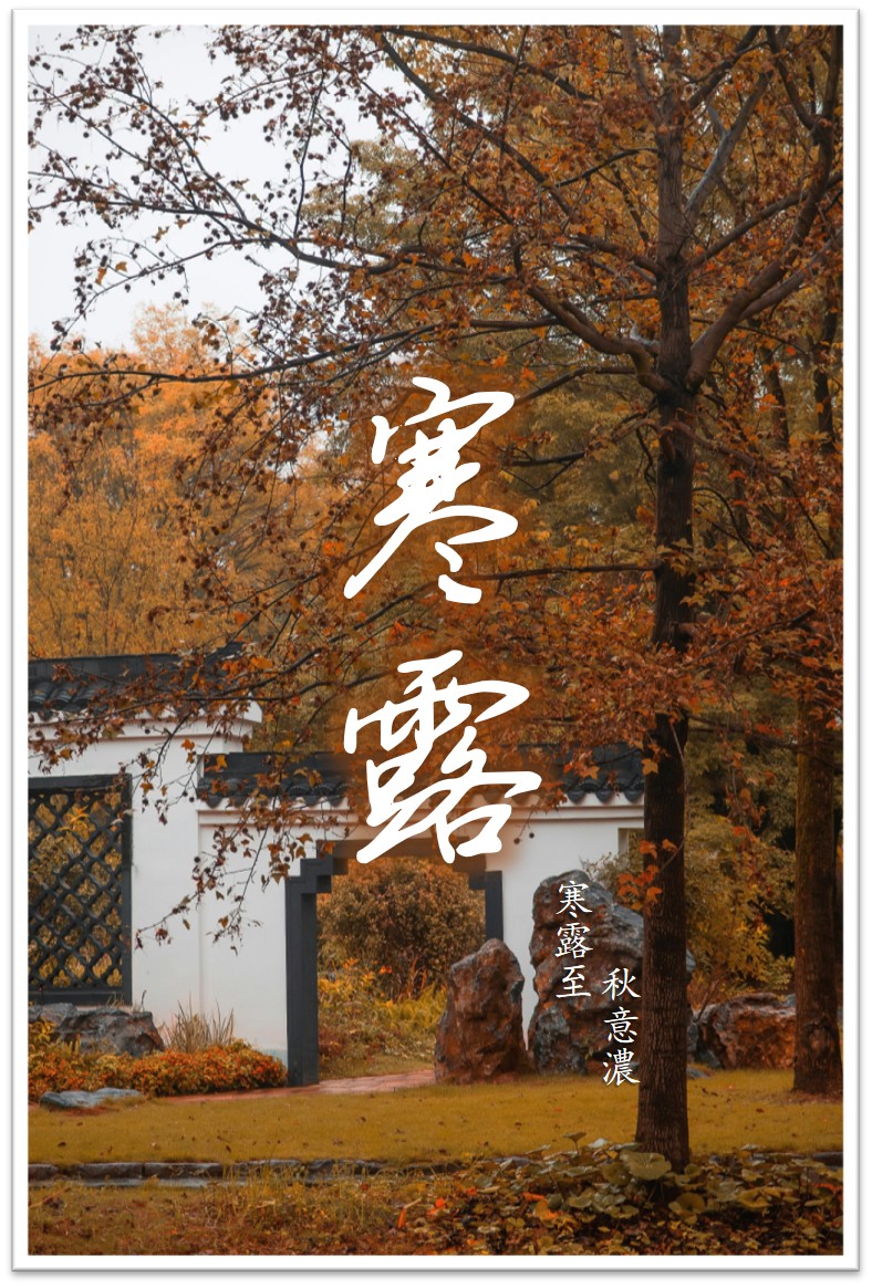 1759911303169149.jpg 内容1.jpg