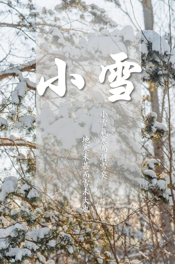 1763719396851665.jpg 图片1.jpg